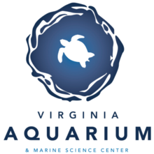 Virginia Aquarium Fam - Bam No Plastic Ma'am's avatar