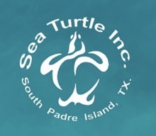 Sea Turtle Inc.'s avatar