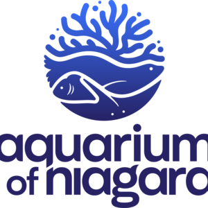 Aquarium of Niagara AON's avatar